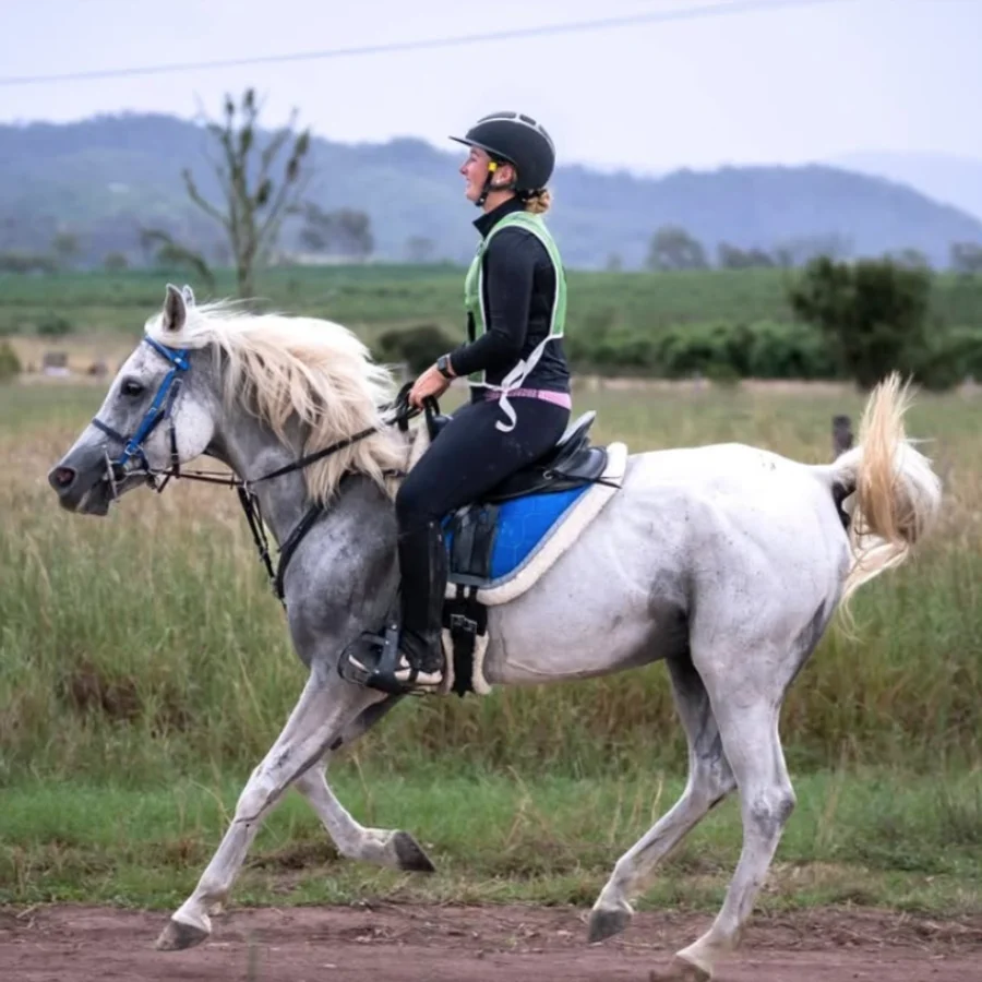 SuJoHorses photo 6